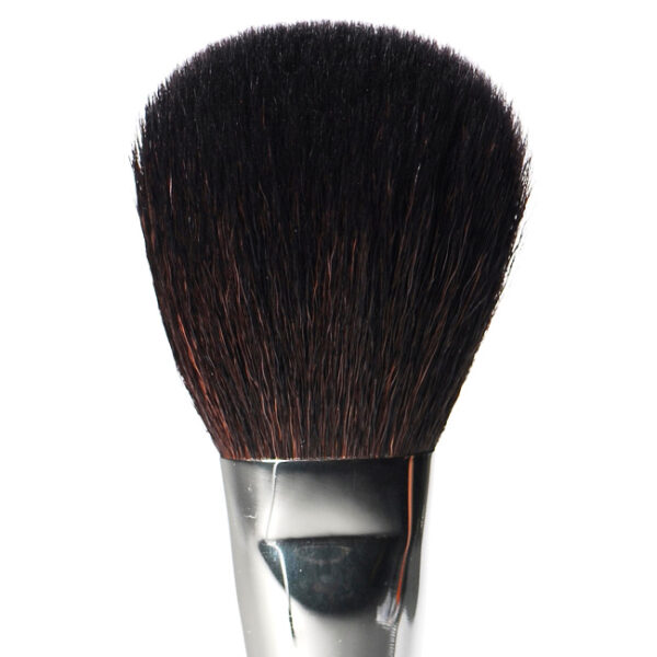 Donna-Mee-ChinesePowderBrush-Closeup-SquareWhite